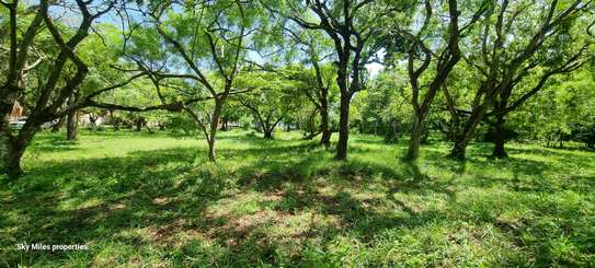 2.5 ac Land at Serena image 27