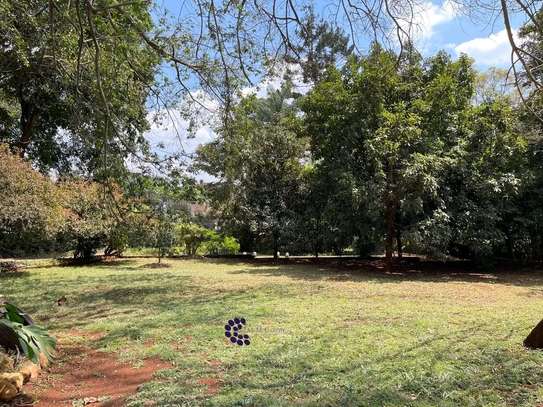 Commercial Property with Fibre Internet at James Gichuru image 5