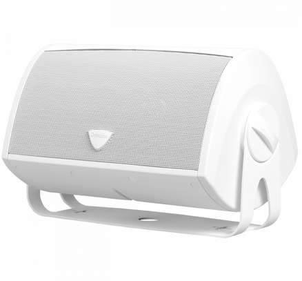 Definitive Technology AW5500 Outdoor All-Weather Loudspeaker image 5
