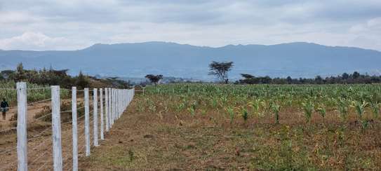 400 m² residential land for sale in Naivasha image 2