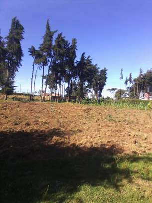 ¼ acre plot Kinungi, Naivasha image 1