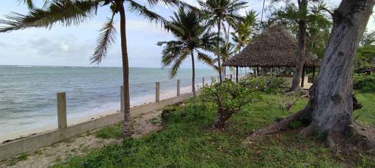 3 acreas beach plot  piece of land for sale. image 8