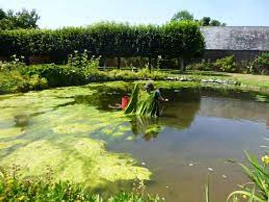 Pond maintenance/ Pond Installation/Pond leak repair Pros. image 12