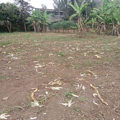 40*80ft plots for sale at Makuyu near Makuyu Teachers c image 8