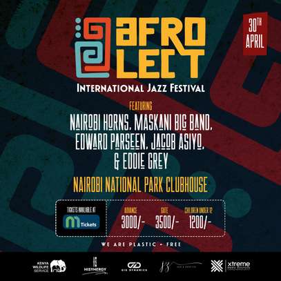 Afrolect International Jazz Festival image 1