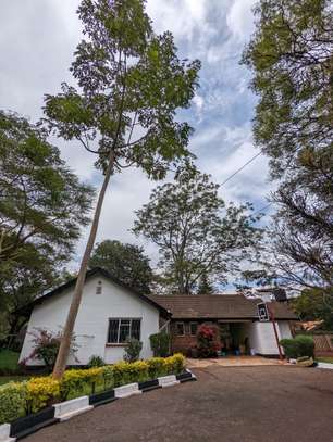 3 bedroom house for rent in Lavington image 1
