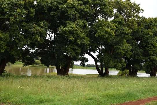 Land at Juja - Gatundu Road image 26