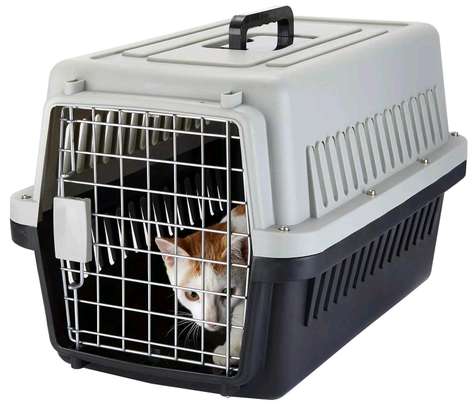 Portable Dog house image 1