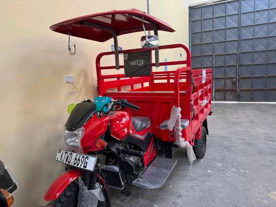 300 cc MECIN CARGO TUK TUK image 1