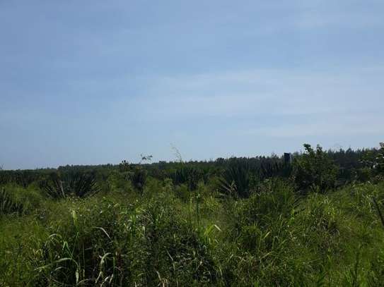 1,012 m² Residential Land in Vipingo image 7