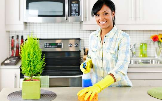 Home Cleaning In Nairobi- Friendly & Attentive Service image 2