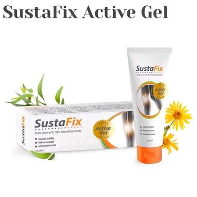 SustaFix Joint Pain and Arthritis Relief Cream image 1