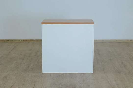 2 Door Wooden Executive Office Cabinet image 5