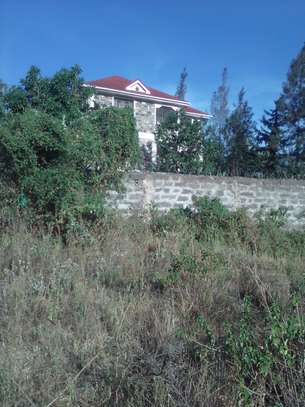 Milimani Estate Nakuru half an acre plot image 2
