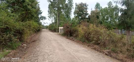 Spacious Rural Land Plot Flat Terrain Road Access image 1