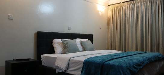 Furnished 3 Bed Apartment with Swimming Pool in Riverside image 11