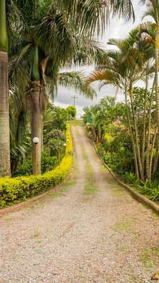 Landscaping design solutions image 1