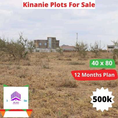 Plots for sale in Kinanie image 1