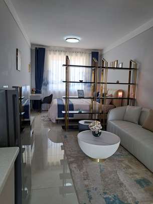 Serviced Studio Apartment with En Suite at Sabaki image 7