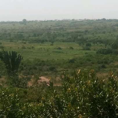 Affordable land for sale in Muthaara, Thika. image 3