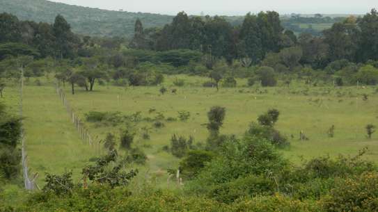 2 Acre Plot for Sale – Kyaani, Kamuthanga, Mua Region image 5