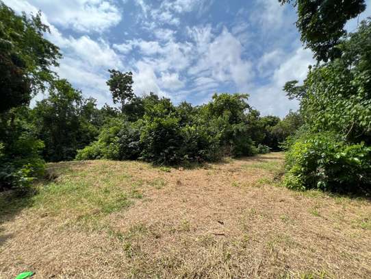 Residential Land in Diani image 12