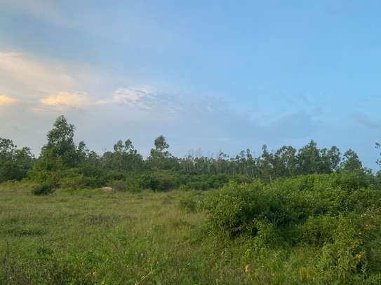 153 ac Land at Kwale County. Funzi Island image 11