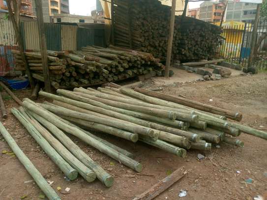 Treated fencing poles image 1