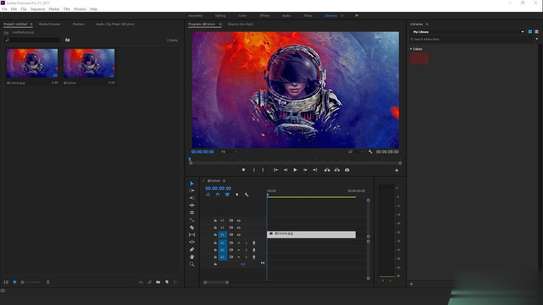 Adobe Premiere Pro 2020 (Windows/Mac OS) image 7
