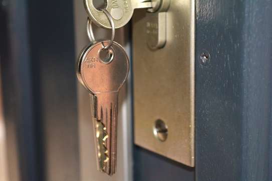 Professional Double Door Locks Repair & Installation | Iron Door Lock| Keyless Door Lock| Exterior Door Locksmiths image 4
