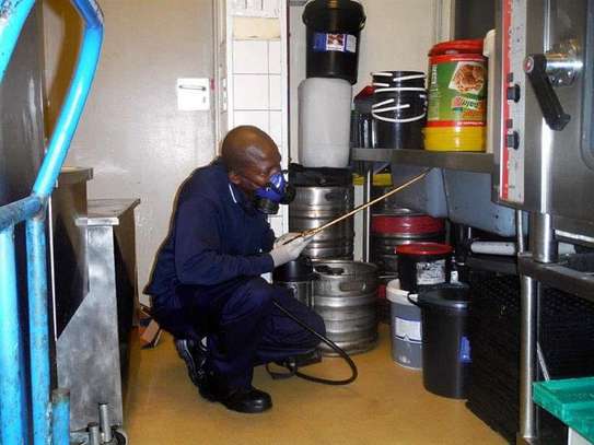 BEDBUGS FUMIGATION SERVICES IN MEMBLEY RUAKA NAIROBI image 4