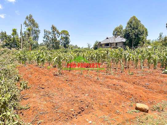 0.1 ha Land at Gikambura image 14