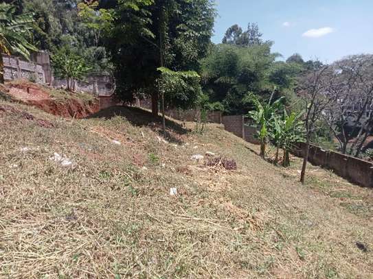 0.8 ac Land at Kitisuru image 4