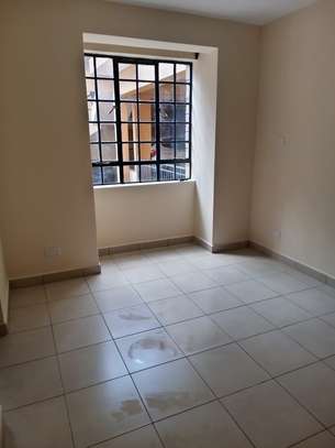 2 Bed Apartment with En Suite in Thindigua image 13