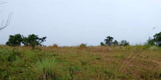 Katani 50 acres at  12 million per acre image 1