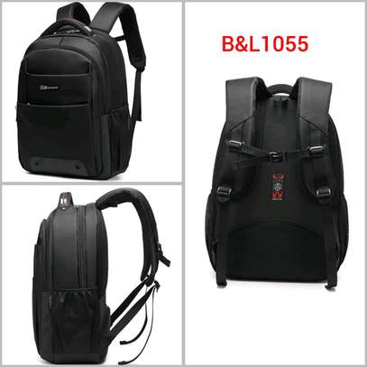 Biaowang Backpack image 3