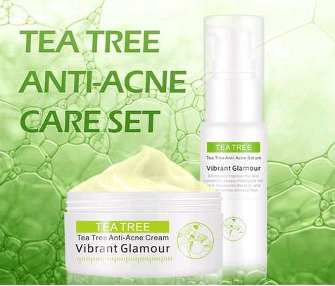 TEA TREE ANTI-ACNE CARE SET image 1