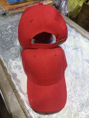 CAPS image 5