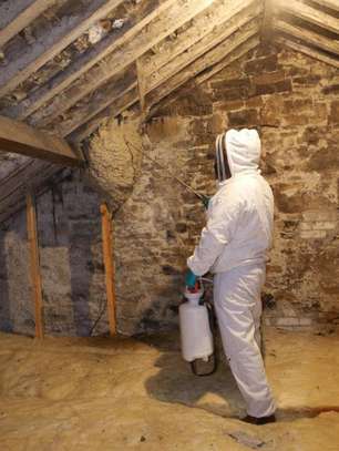 Professional Bed Bugs Control / Cockroach Control / Mosquito Control / Termite Control / Commercial Pest Control .Call now image 14