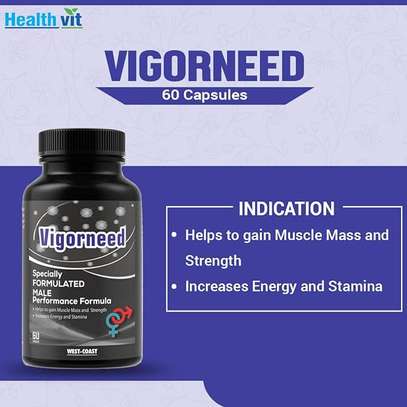 Vigorneed Supplements Helps Increasing The Male Libido image 2