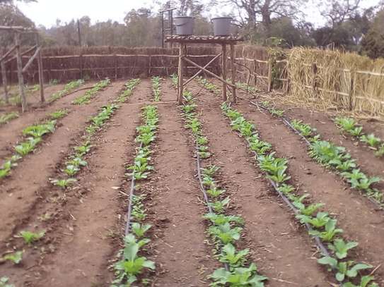 Landscaping & gardening services in Nairobi Kenya image 7