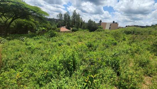 0.2 ha Commercial Land at Merisho Road image 9