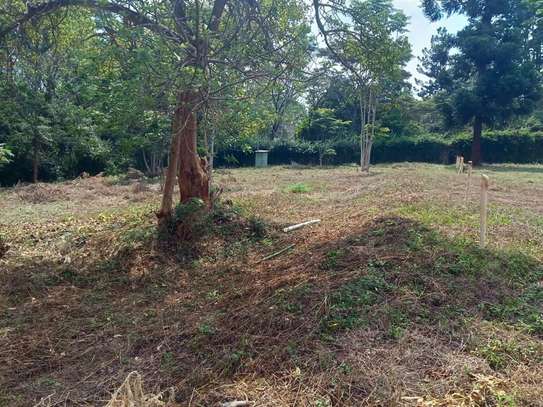 2,023 m² Residential Land at Rosslyn Lone Tree image 2