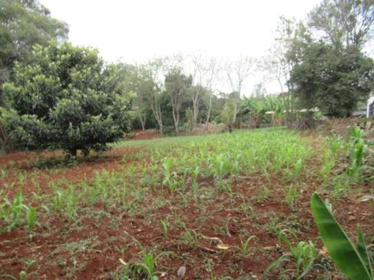 Residential Land at Karen Hardy image 11