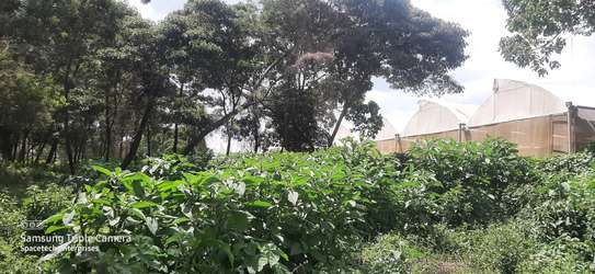 Land in Redhill image 6