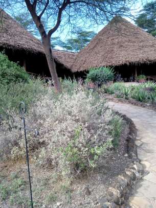 Makuti roofing Kenya image 7
