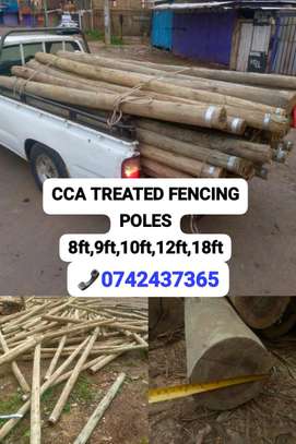 PRESSURIZED TREATED FENCING POLES image 3