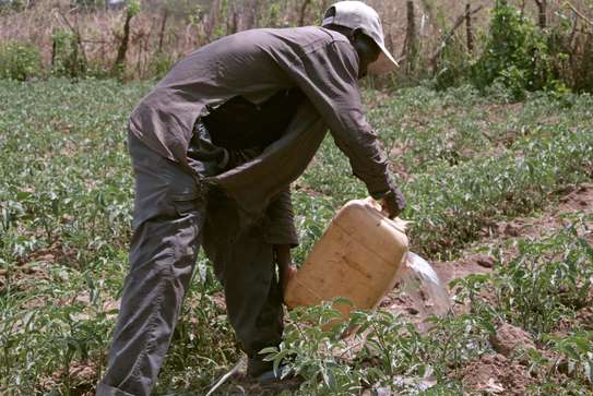 Landscaping & gardening services in Nairobi Kenya image 2