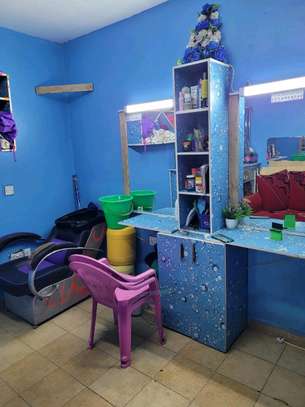 Salon on sale image 1