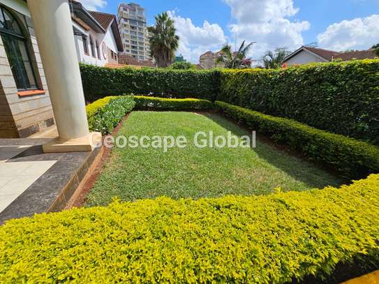 5 Bed Townhouse with En Suite in Spring Valley image 9